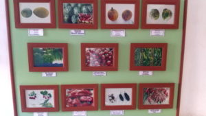 abdullah khan madrasah courtyard inside