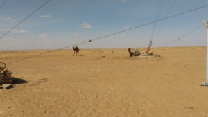 ayaz kala yurt camp camel