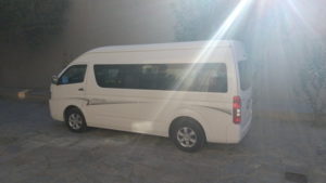 shared day trip wagon