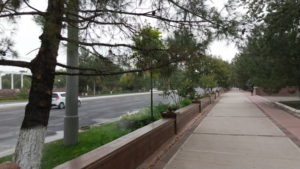 sharaf rashidov avenue