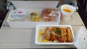 oz102 in flight meal