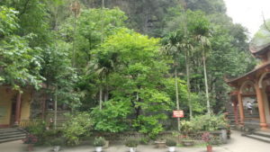 bich dong pagoda near lower pagoda1