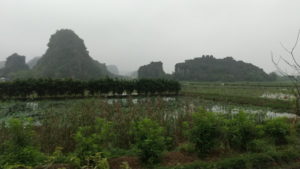 mua caves landscape1