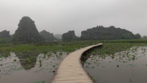 mua caves lotus pond