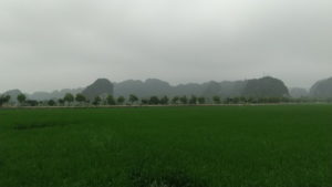 nhat linh view from inside2