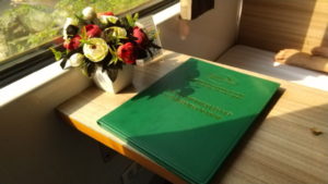 vietnam railway se7 1st class inside2