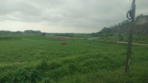 vietnam railway view1