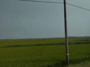 hue outskirt landscape1