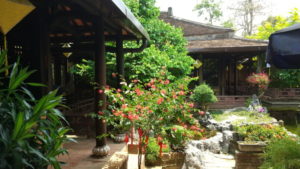 mandarin coffee garden1