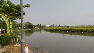 thuy thanh village landscape1