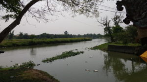thuy thanh village landscape2