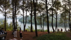 vong canh hill forest