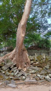 beng mealea 1st corridor south2