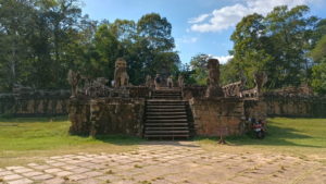 elephant terrace front