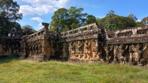 elephant terrace side diagonal