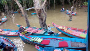 mangrove forest boat station