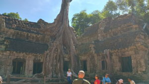 ta prhom eastern gate big tree