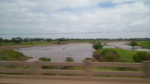 vireak buntham express view1