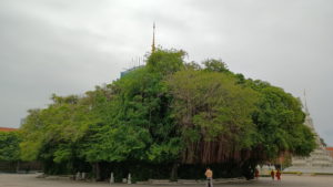 silver pagoda kailassa mountain