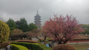 pan men fengjing qu ruiguang pagoda far