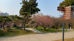 mingxiaoling meihuagu1