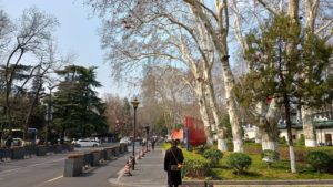 nanjing beijingdonglu