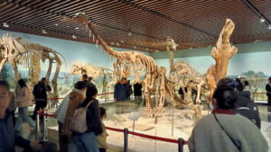 nanjing museum prehistoric period1