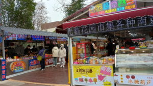 nanjing zhongshandonglu2