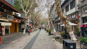 hangzhou nansongyujie landscape2