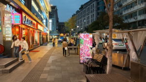 hangzhou wulinlu landscape2