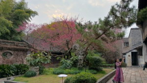 wuzhen west lingshuiju landscape1