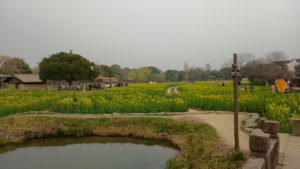 wuzhen west north landscape1