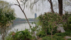 wuzhen west north landscape2