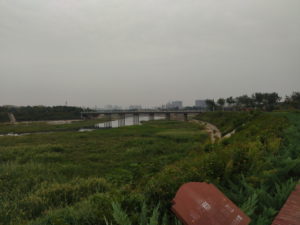 anyang river view1
