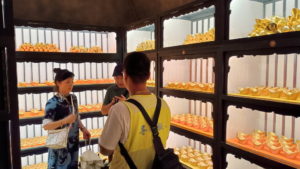 pingyaogucheng xietongqing underground2