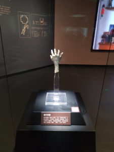 yinxu museum 3rd tongshouxingqi