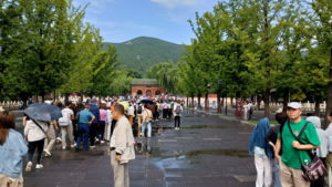 jincidamen front far