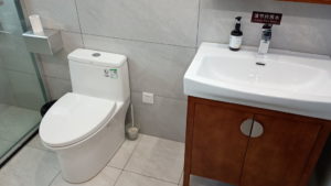 chenjiadayuanluguan toilet