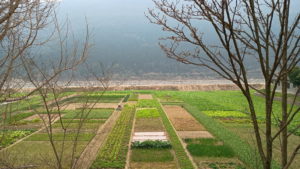 zhaohuagucheng linqingmen landscape5