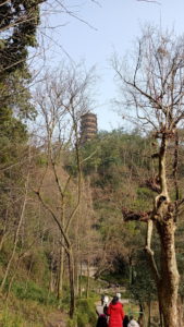 dujiangyan songmaogudao landscape5